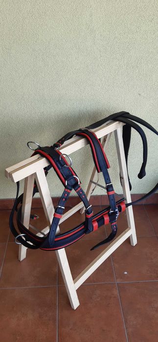 Uprząż szory na kucyka