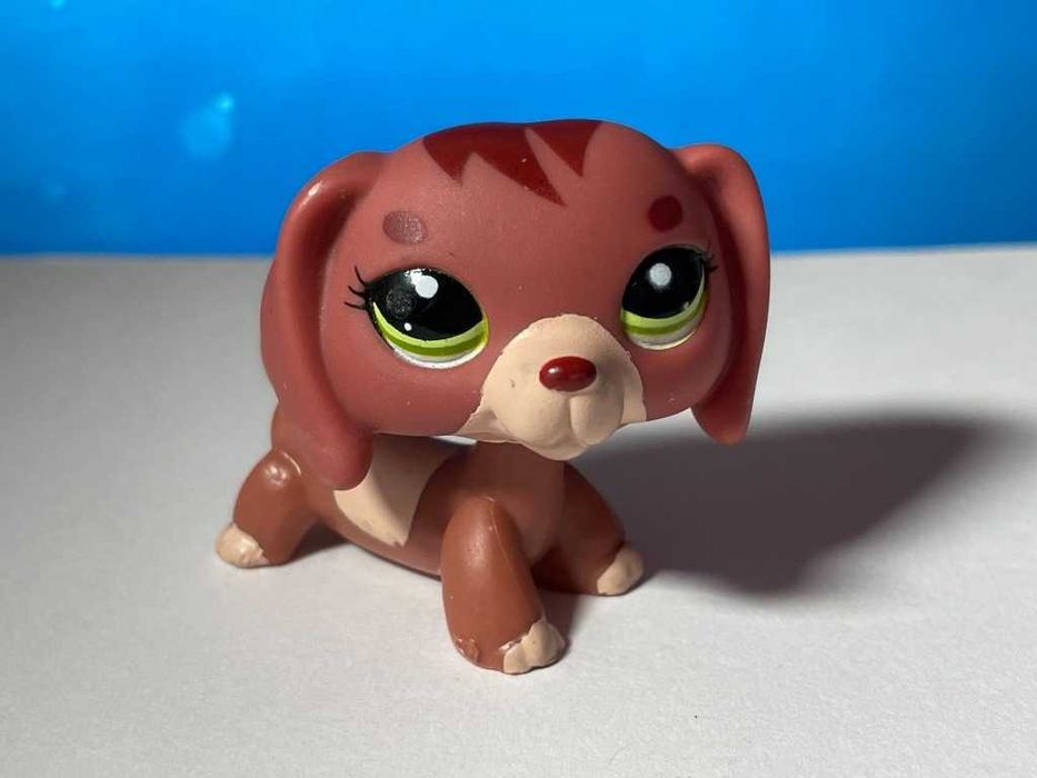 LPS Littlest Pet Shop Pop na wymianę shorthair jamnik spaniel dog