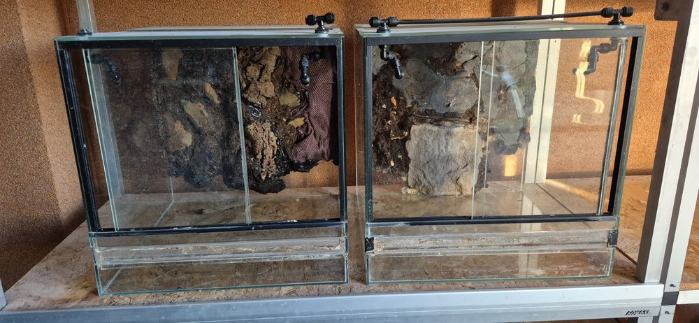 2 terraria 40x40x40 ze zraszaczami