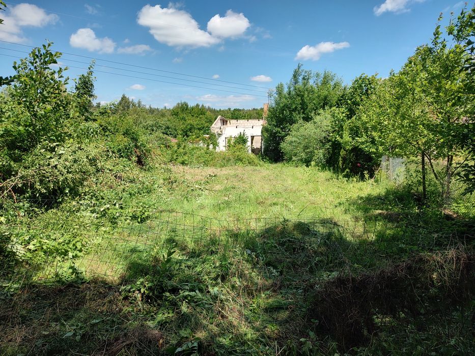 Działka rod jelonek - Widok 2