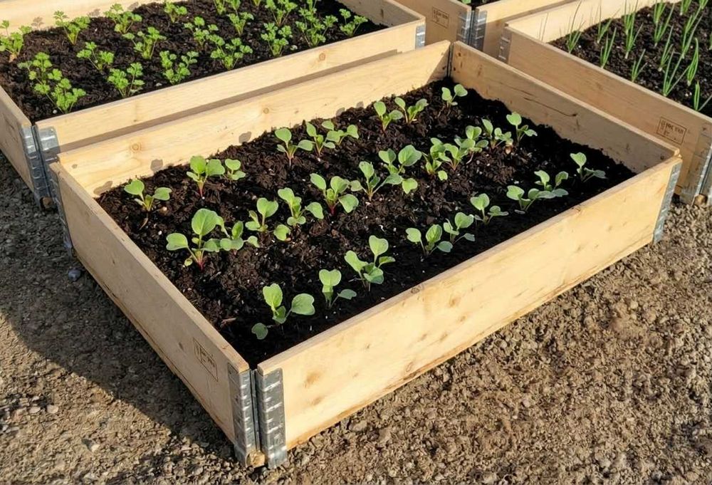 Nadstawki paletowe (rabatniki, warzywniaki) 120x80, 120x100, 60x80 cm