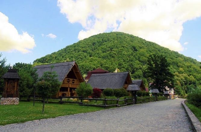 Ділянка 0.58га Курорт Шаяни біля озера Під маеток або бізнес стратегію
