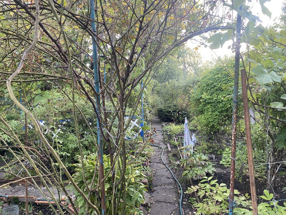 Дачний невеликий будинок