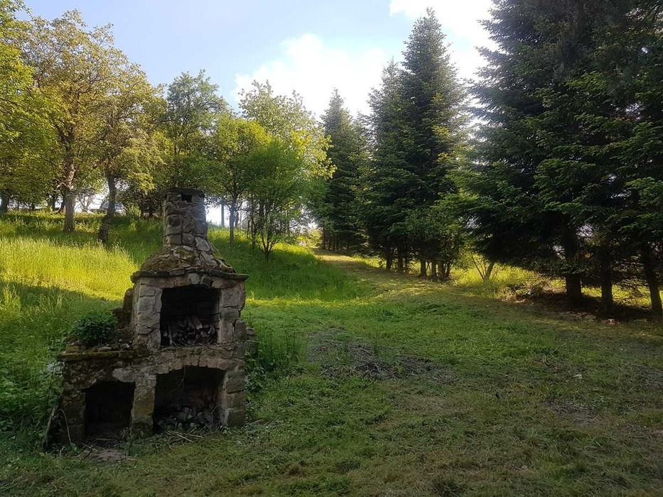 Tyczyn k. Rzeszowa - dom na wyjątkowej działce 5085 m² przy lesie