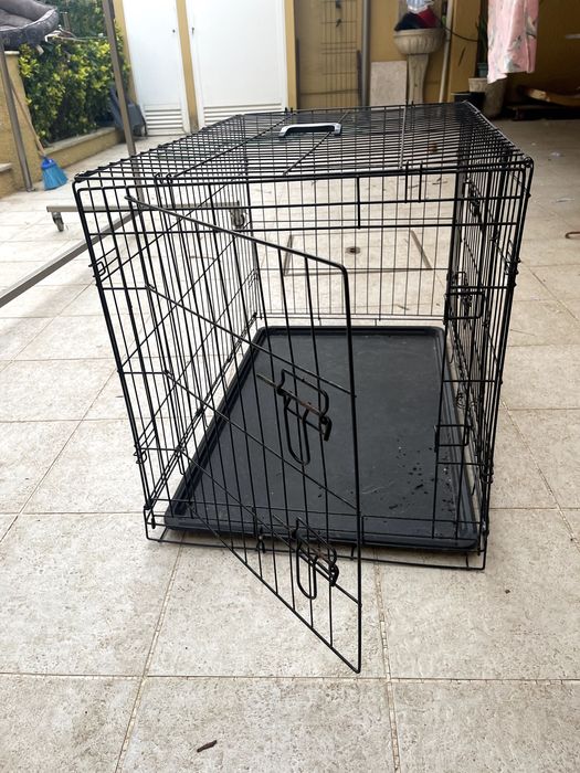 Cerca fechada para cães