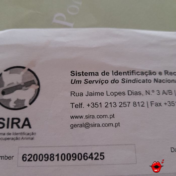 Bebé machinho porte pequeno