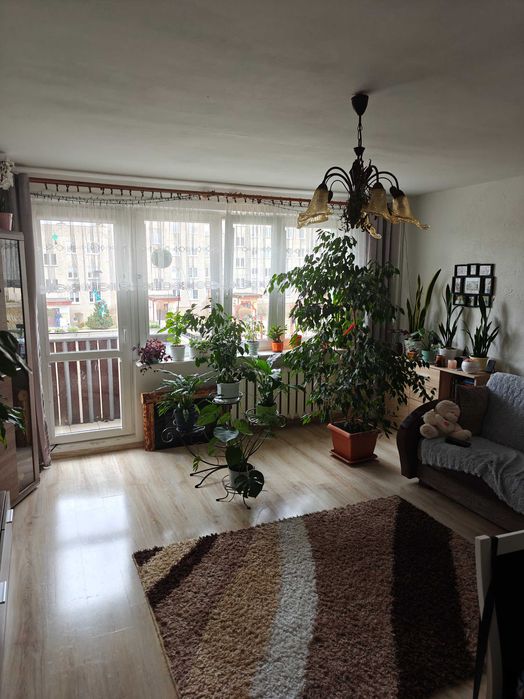 Mieszkanie 65 m2, 3 pokoje, I piętro, Witosa