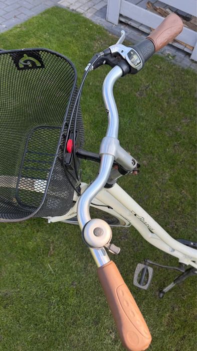 Rower miejski Pegasus