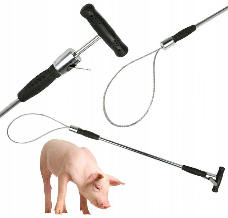 Pętla poskromu z gumowymi nakładkami, poskrom do prowadzenia trzody