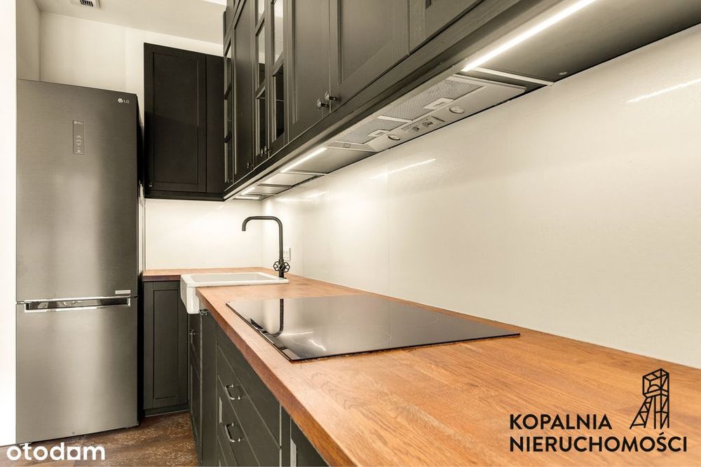 Loftowy Apartament z ogrodem przy Parku Śląskim