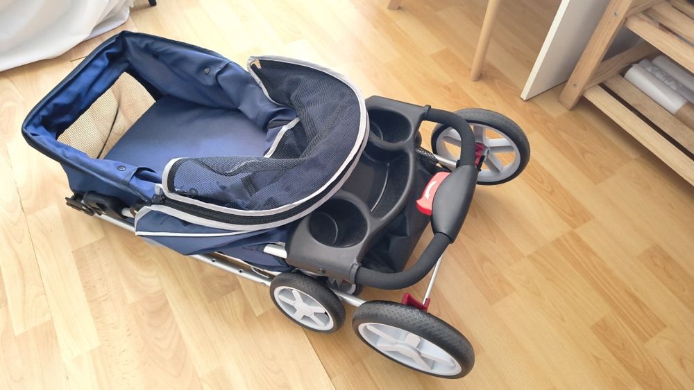 Carinho de passeio animais de estimação
