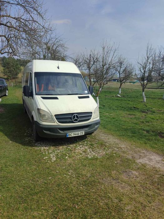 Sprinter 315/  пасажир