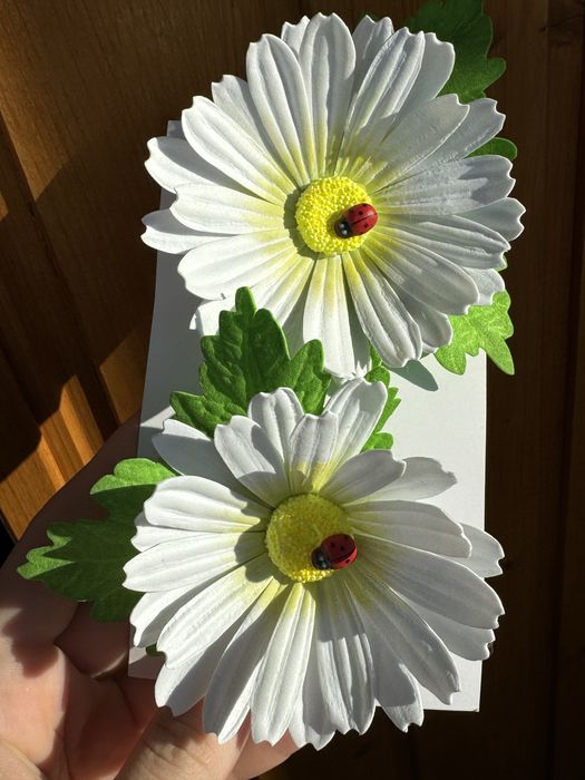 Квіти. Ромашки. Зажими ромашка.