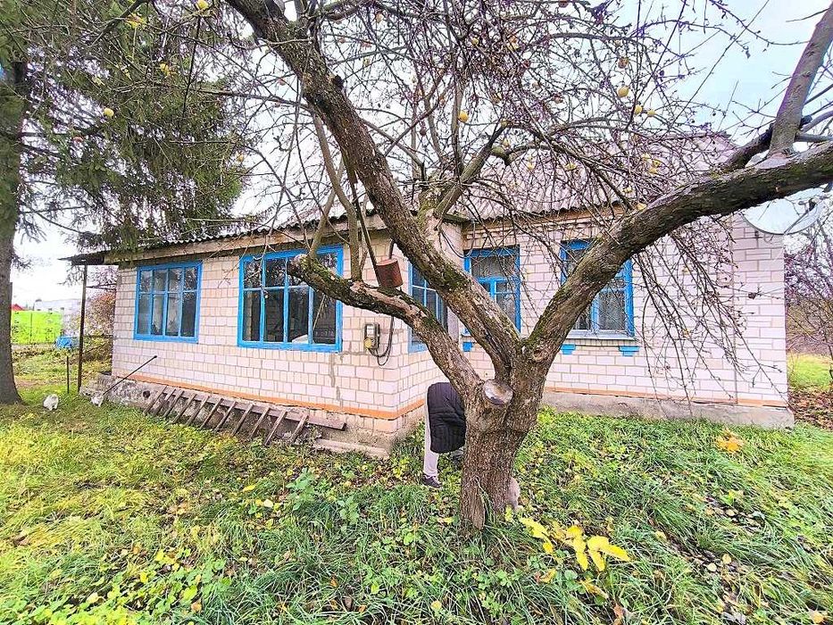 Жилий будинок та 29сот.В с.Бишів.Розвинена інфраструктура.Київ 40км.