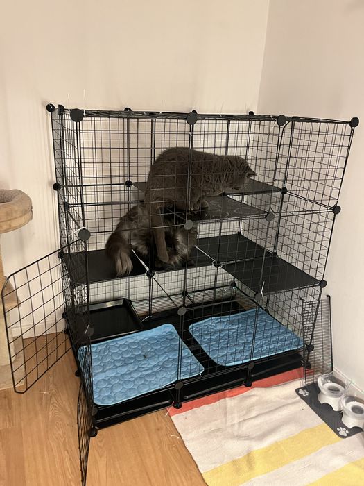 Gaiola jaula para animais (nao negociavel)