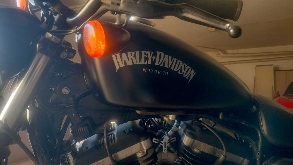Harley Davidson Iron 883 2014