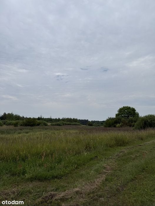 Kłodowo | dwie działki rolne 8,4 ha przy prywatnym osiedlu i jeziorze - Widok 4