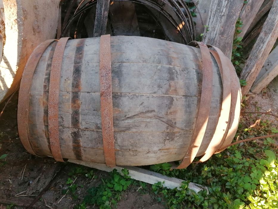 Bar antigo e Pipos antigos de vinho