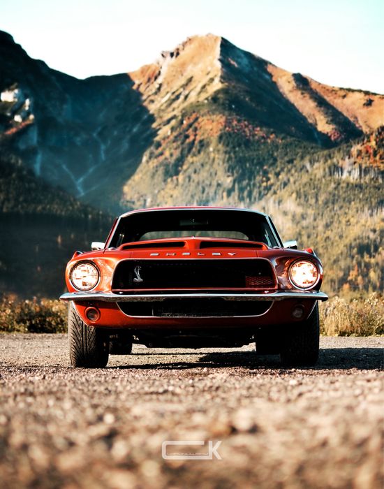 Samochód do Ślubu / Imprezy Okolicznościowe  MUSTANG 1967 SHELBY GT500