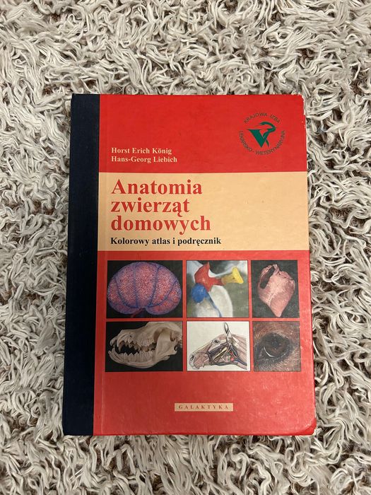 Anatomia zwierząt domowych Konig Liebich