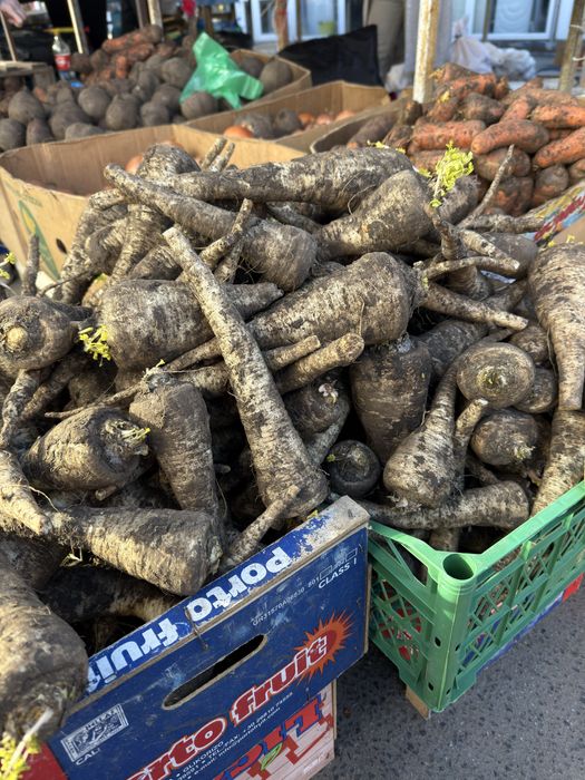 Продам корінь петрушки
