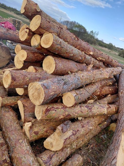 Drewno sosnowe opałowe do kominka drzewo
