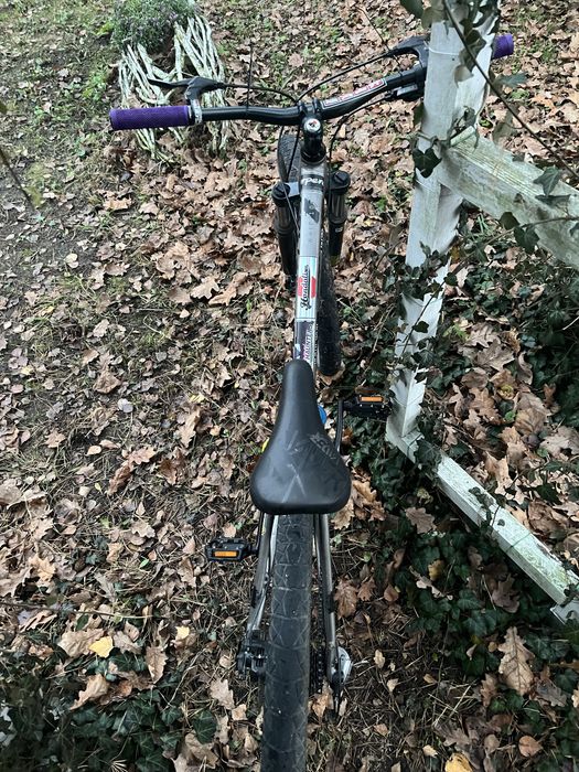 Kellys whip 10 raw 2023r