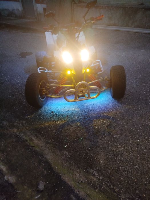 Polaris predator 500