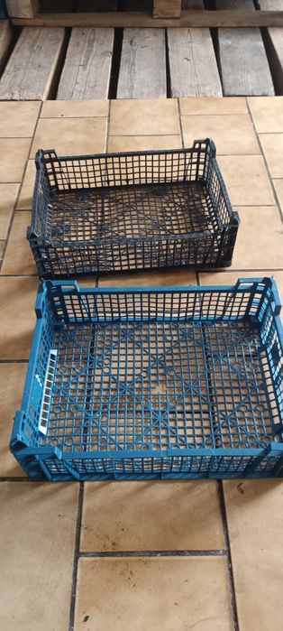 Skrzyneczka do borówki truskawek czeresni