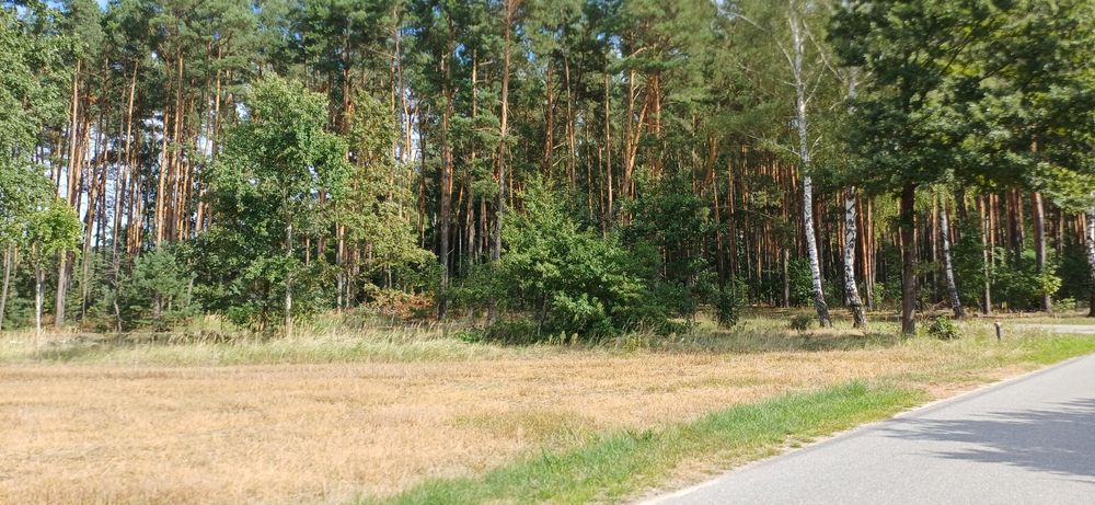 Sprzedam działkę pod zabudowe z WZ.