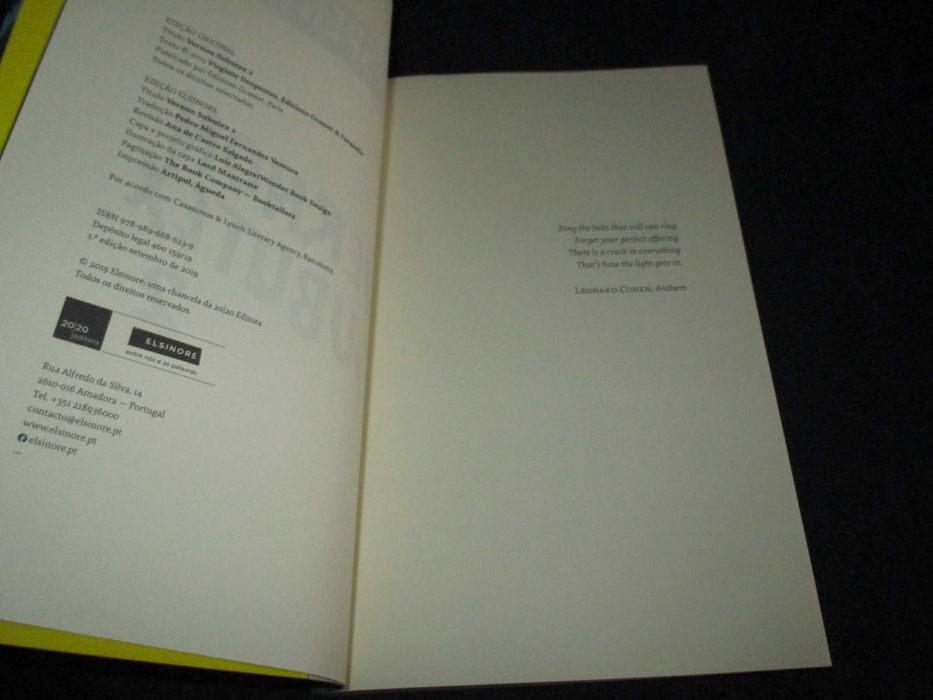 Livro Vernon Subutex Virginie Despentes 2 Volumes
