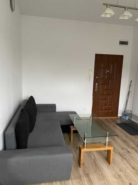 lokal do wynajęcia (biuro, usługi.)