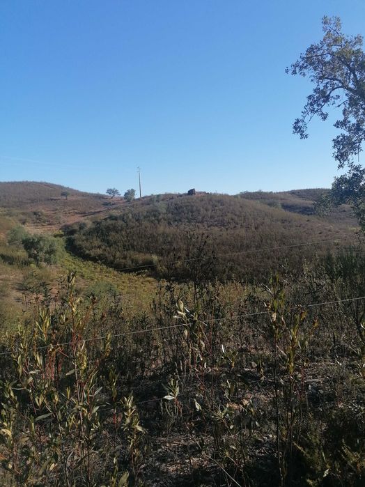 Terreno com ruína perto de São Teotónio zambujeira do mar