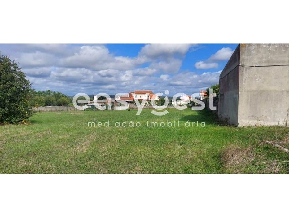 Terreno 3500m2 plano com poço sito em Amor, a poucos kM de Leiria