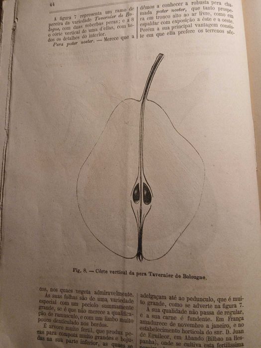 O Agricultor Portuguez, Volume 6 Nº2 1883