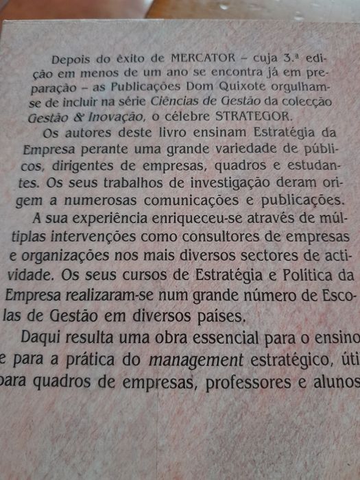 Strategor - Política Global da Empresa