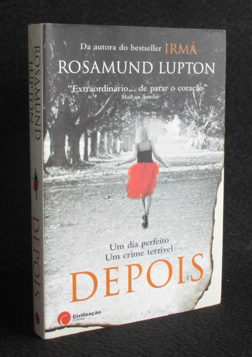 Livro Depois Rosamund Lupton 1ª edição 2013