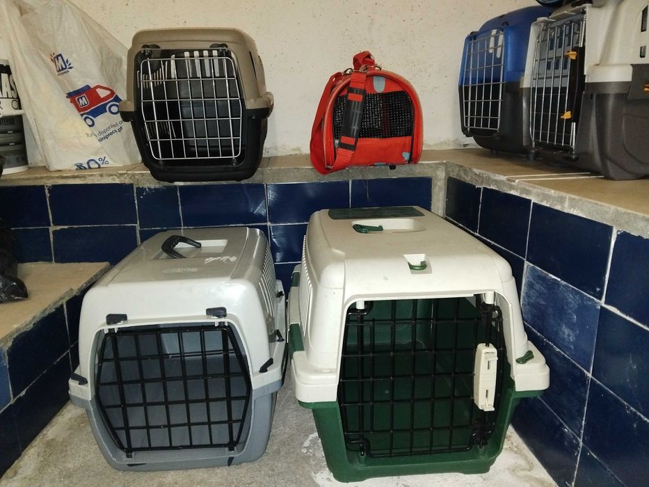 Várias Transportadoras cão, gato ou exoticos