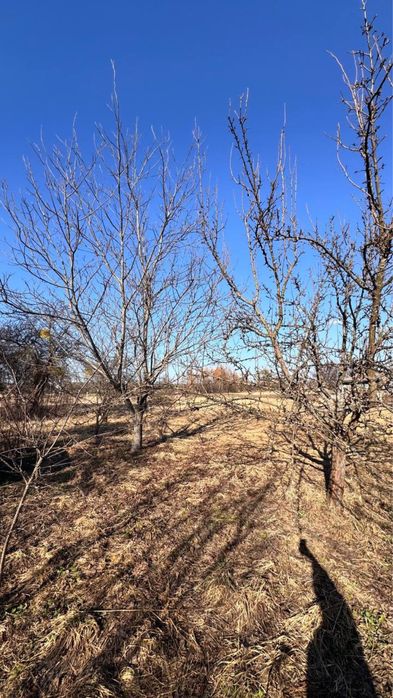 Продаж земельної ділянки в Діброві 15 соток 19 000$