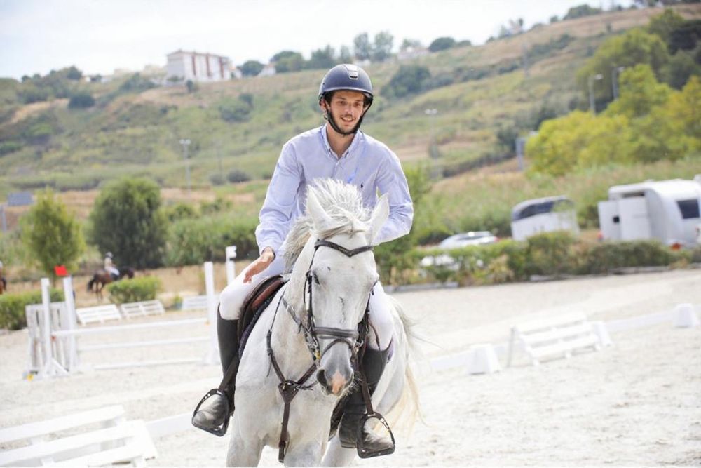Cavalo de obstaculos BWP