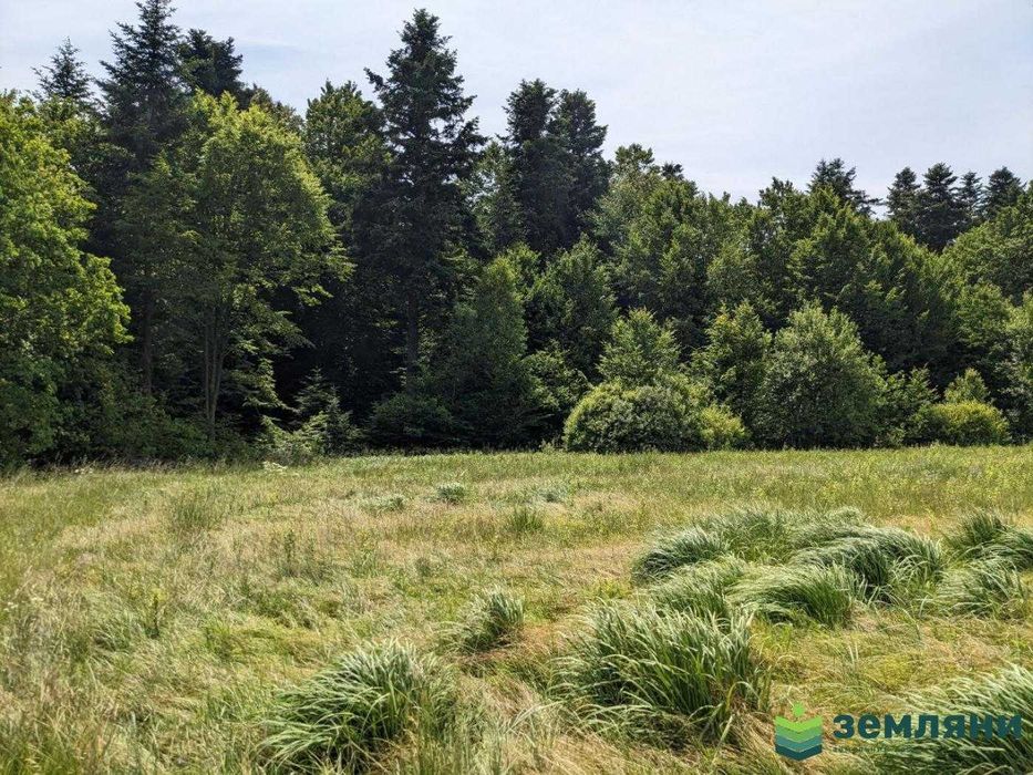 Продаж ділянки із виходом у ліс в с. Нова Гута (8)