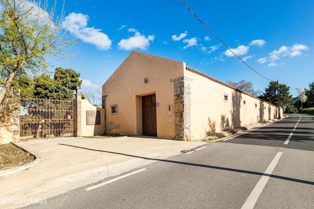 Quinta 4400 m2, Torres Vedras