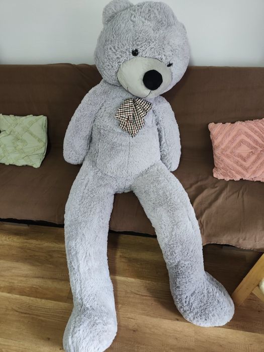 Miś Gustaw 190vm
