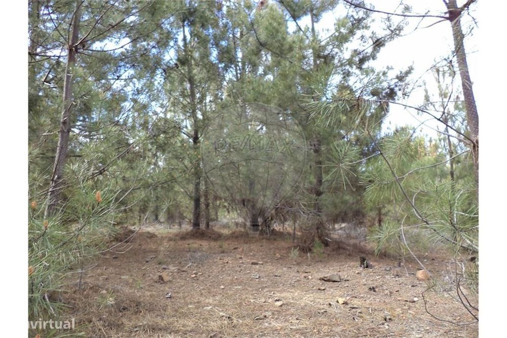 Quinta T0 para venda — Fundão, Valverde, Donas, Aldeia De Joanes E Aldeia Nova Do Cabo, Castelo Branco