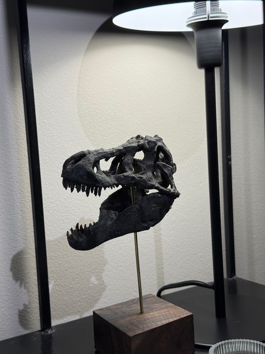 T-Rex- réplica em miniatura de crânio de dinossauro