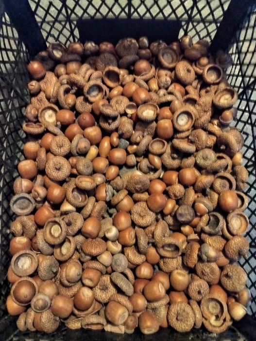 Природні матеріали для декора