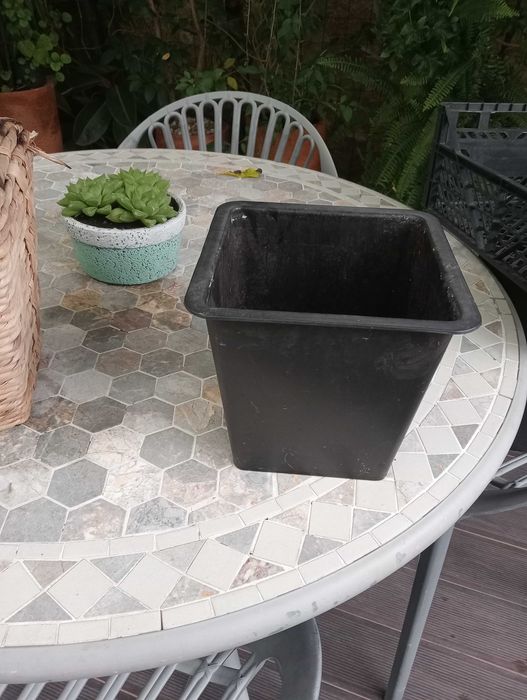 Vaso verga para planta