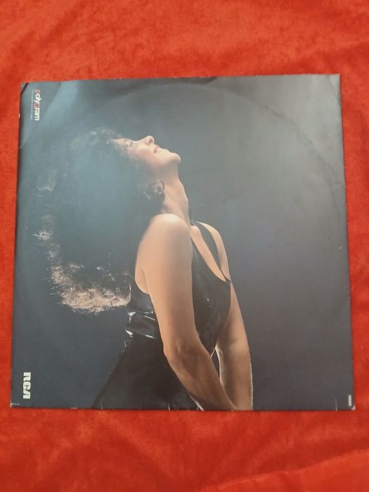 Discos Vinil vários