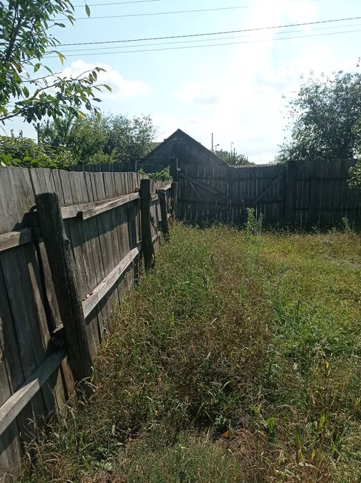 Садиба біля річки Десна. Село Лебедівка.
