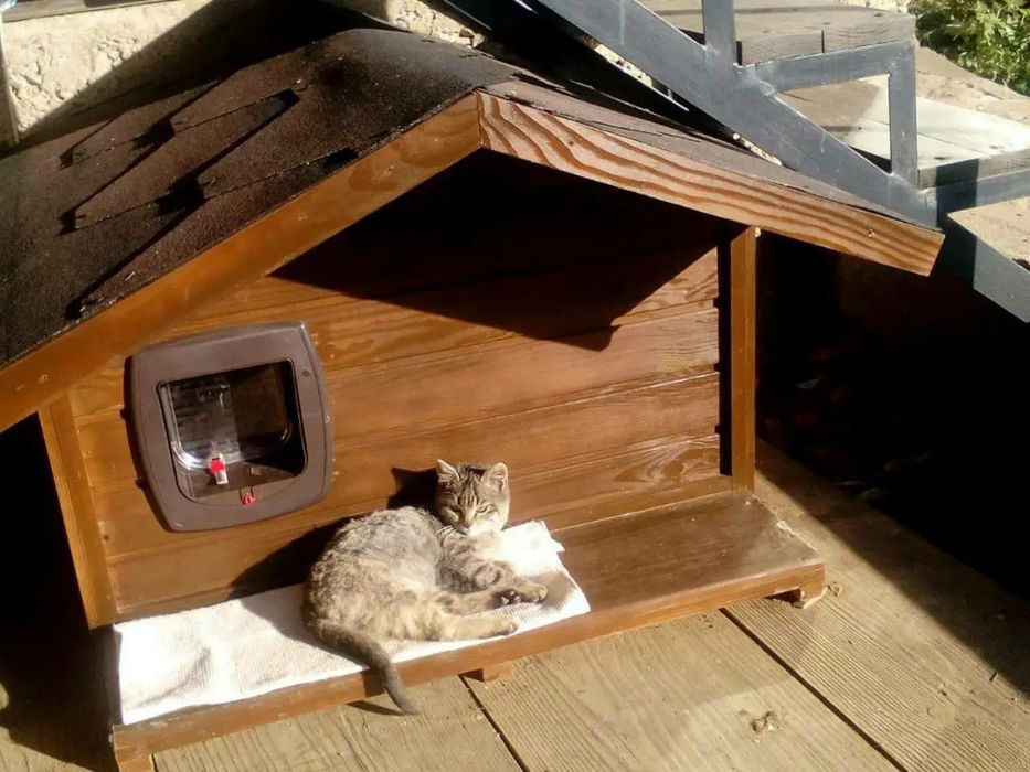 Будка для кота утеплена В НАЯВНОСТІ